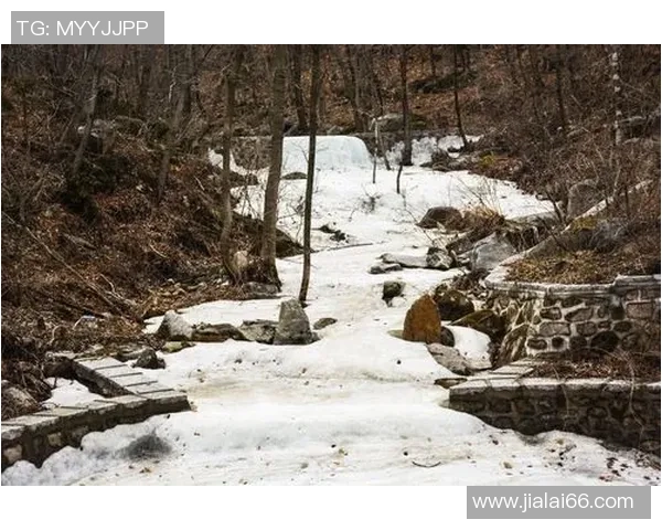 蔚山现代太阳神与安养人参的激烈对决谁将赢得胜利的荣耀与未来