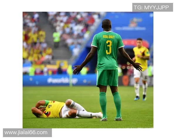 哥伦比亚与塞内加尔比赛全场技术统计分析与数据对比