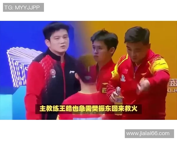樊振东快回归国乒!说明:奥运会与王楚钦搭男双,王皓没选人压力